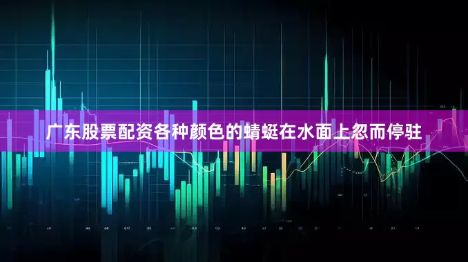 广东股票配资各种颜色的蜻蜓在水面上忽而停驻