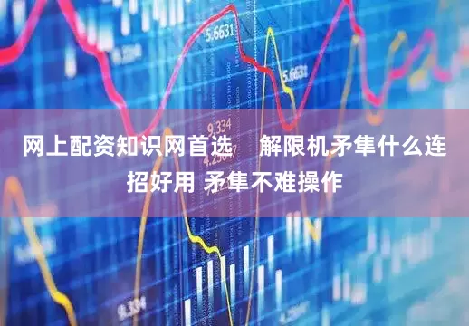 网上配资知识网首选    解限机矛隼什么连招好用 矛隼不难操作